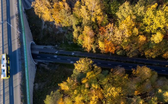 Velostrada bezkolizyjnie przecina się z DK86