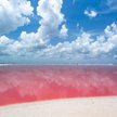 Różowa i bardzo słona plaża Las Coloradas