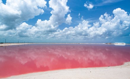 Różowa i bardzo słona plaża Las Coloradas