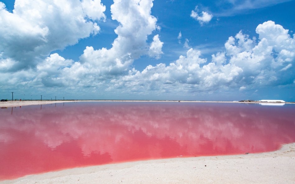 Różowa i bardzo słona plaża Las Coloradas