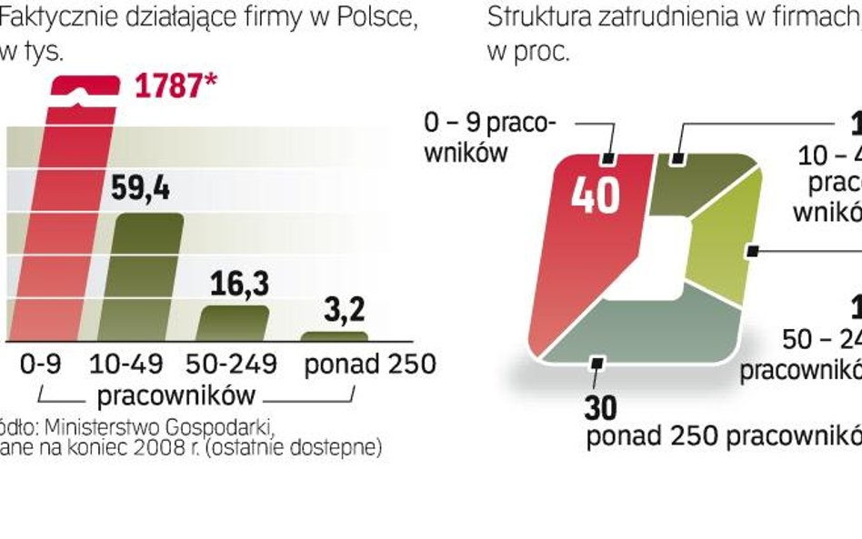 Małe firmy to najwięksi pracodawcy w kraju