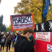 Szułdrzyński: Gdy rząd staje się memem
