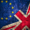 Holandia nie wyrzuci Brytyjczyków po twardym brexicie