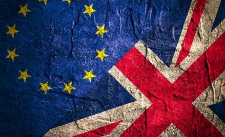 Holandia nie wyrzuci Brytyjczyków po twardym brexicie