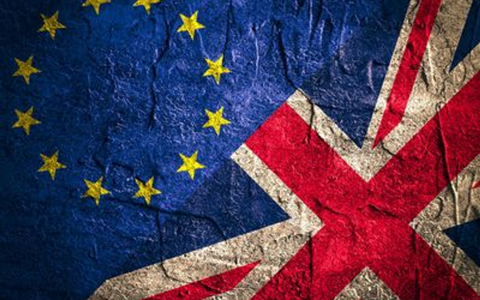 Wielka Brytania: 800 tys. osób chce referendum ws. Brexitu