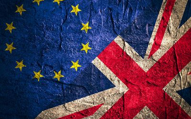 Marek Domagalski: Brexit - związek z Unią po przejściach