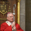 Abp Jędraszewski: Karta LGBT i instrukcje WHO programami deprawacji dzieci