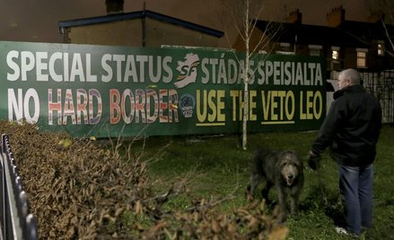 Irlandia Północna jako jedyna część Zjednoczonego Królestwa ma granicę lądową z krajem członkowskim 