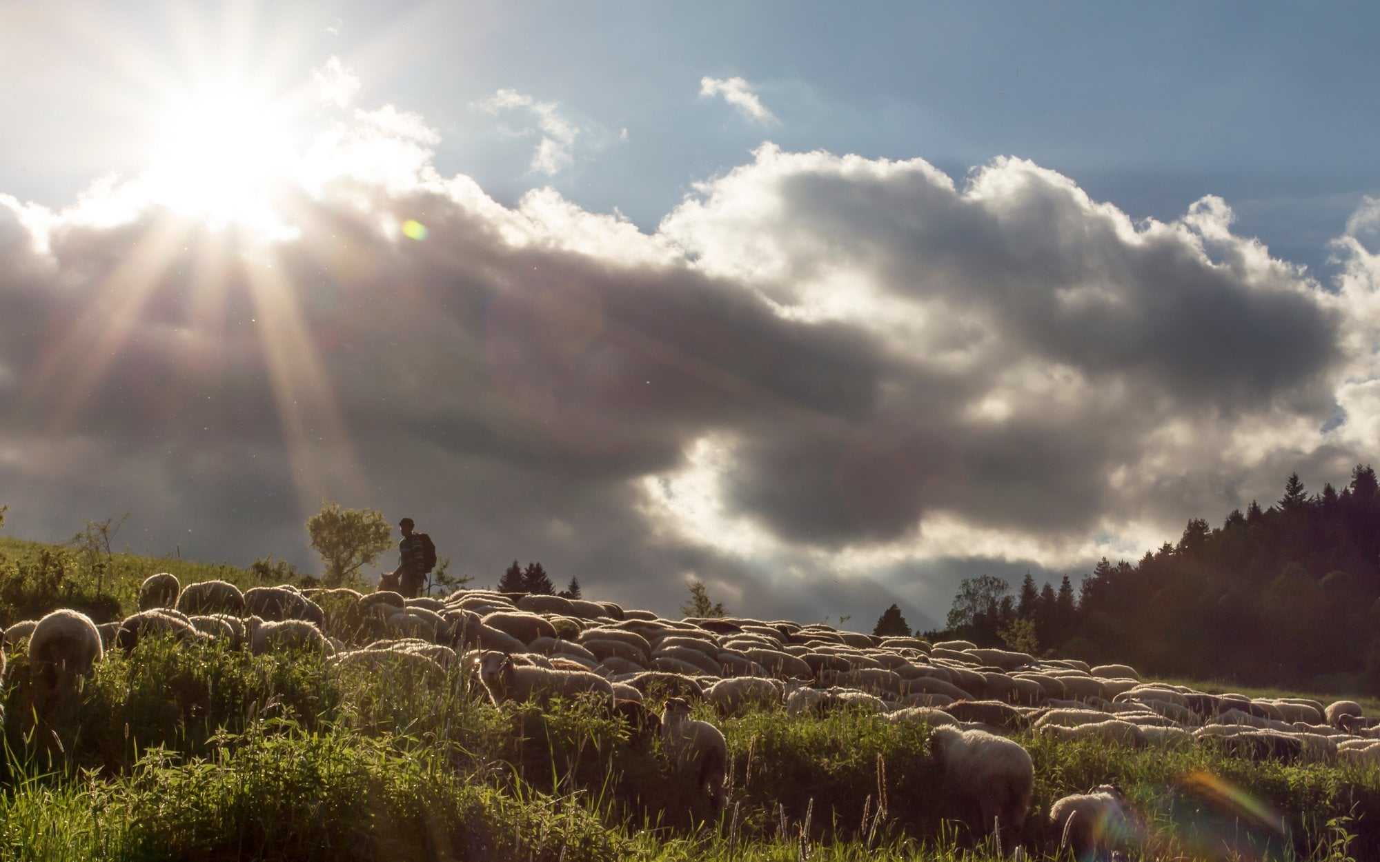 Pogoda w weekend szykuje niespodzianki. Połowa kraju ze słońcem, połowa z deszczem