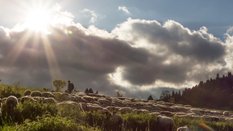 Pogoda w weekend będzie zmienna. W wielu częściach kraju będzie deszczowo