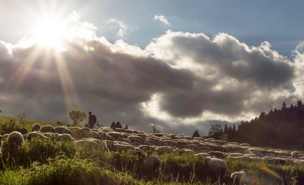 Pogoda w weekend będzie zmienna. W wielu częściach kraju będzie deszczowo