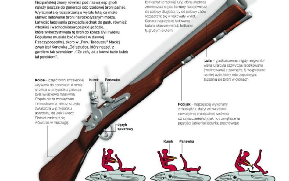 Infografika Norbert Suchorzewski