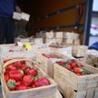 Polskie owoce zalewają rynek. Truskawki tanieją, importerzy kończą sezon