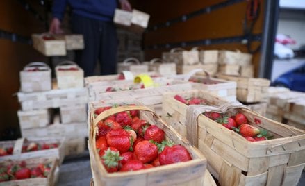 Polskie owoce zalewają rynek. Truskawki tanieją, importerzy kończą sezon