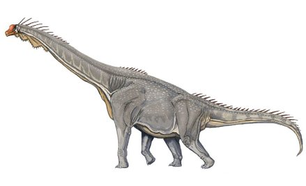 Odkryto kość największego zwierzęcia, które chodziło po Ziemi