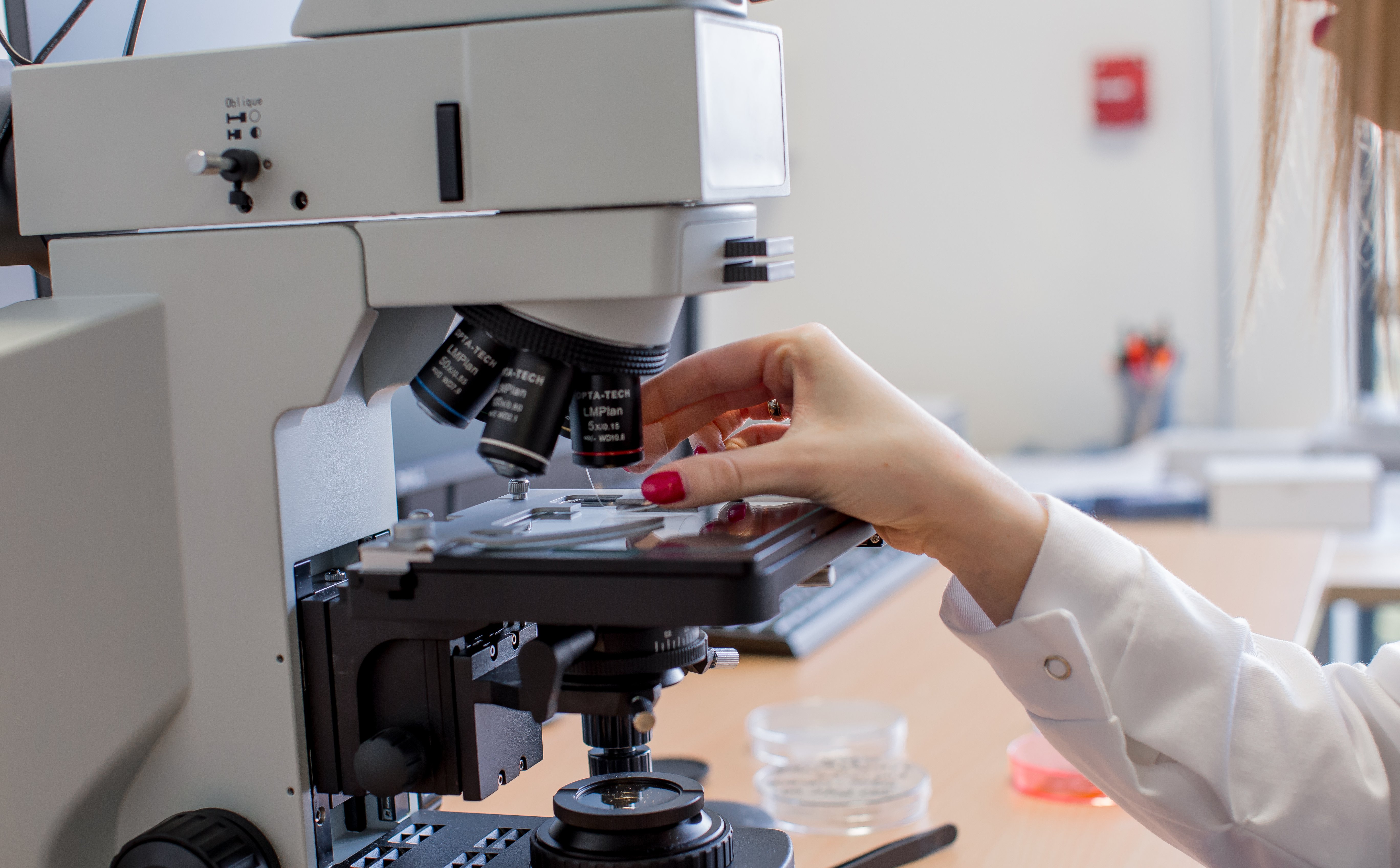 XTPL rozwija biznes, ale wolniej niż zakładał rynek