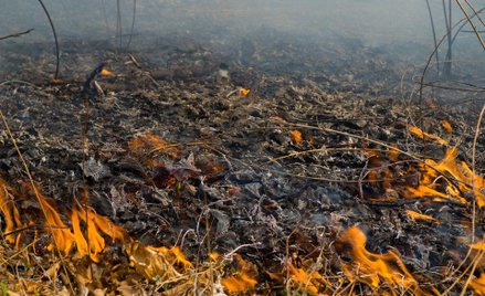 Runął na dzielnicę biedoty