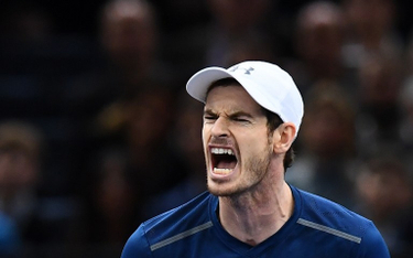 Andy Murray na czele rankingu ATP: Nagroda za wiarę i cierpliwość