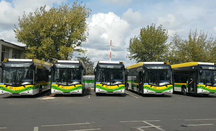 W ekologiczne autobusy inwestowały dotychczas przede wszystkim samorządy. I tak będzie też w 2025 ro