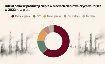 Brak rządowej strategii utrudnia transformację ciepłownictwa