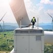 Założenia, że ceny energii będą spadać, idą w kontrze do przewidywań spółek energetycznych. Te oficj