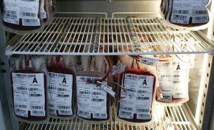 Włochy: spór o krew lesbijki