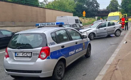 Przyjazd patrolu straży miejskiej na wezwanie mieszkańca w Warszawie może wynieść nawet kilka dni