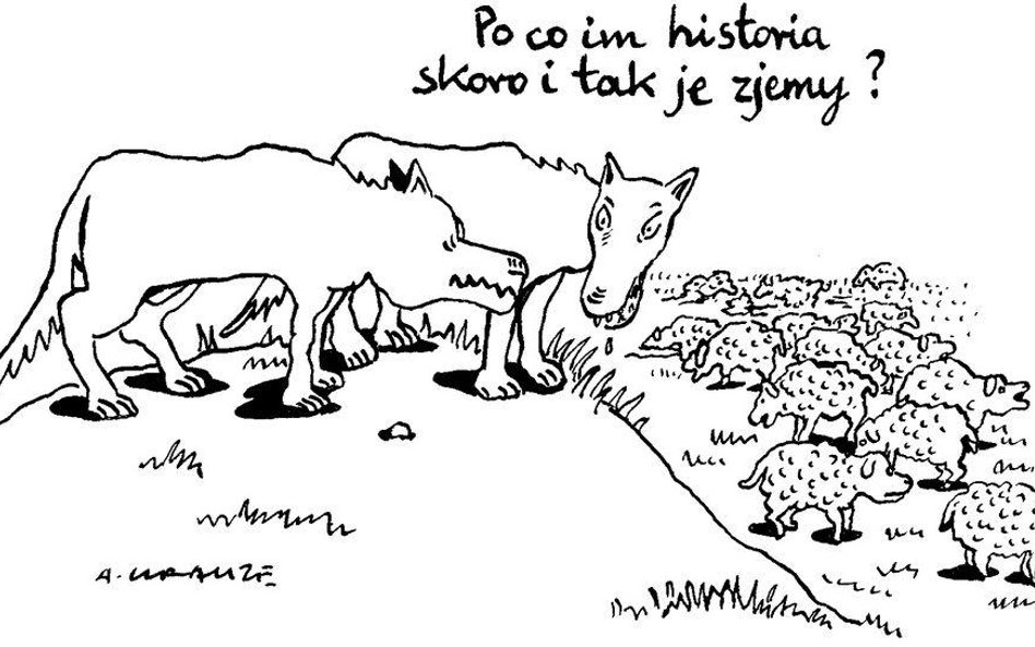 Komentarz rysunkowy. Po co im historia