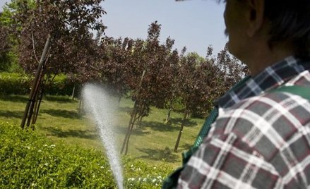 Ogrodnik też może być mecenasem