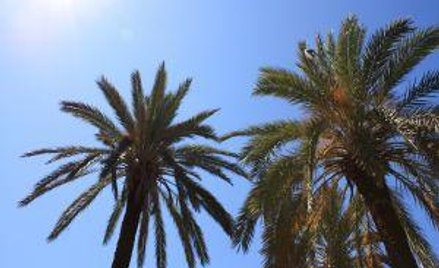 Wypoczynek chorującego trzeba przesunąć