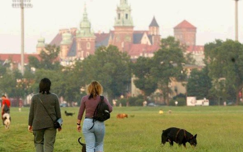 Krakowskie Błonia – to miejsce spacerów także dla psów