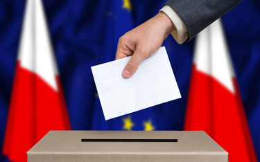 Wybory do Parlamentu Europejskiego odbędą się w Polsce 9 czerwca.