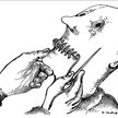 Komentarz rysunkowy. 19 marca 2011
