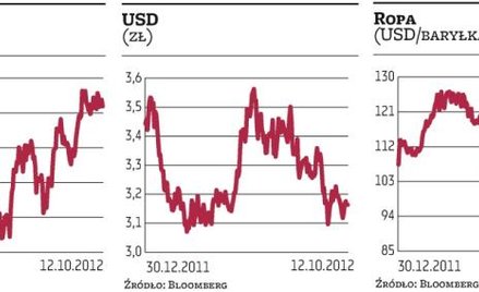 Premier nie zaskoczył inwestorów