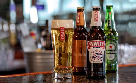 Grupa Żywiec miała 17,34 mln zł zysku netto, 29,9 mln zł zysku EBIT w I kw.