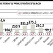 Rekordowy wzrost liczby firm w 2010 r.