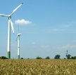 Grożą nam kary. SLD: Będziemy płacić pół mln zł dziennie