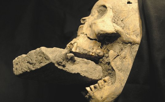 Szcz&#x105;tki weneckiej &#x201e;wampirzycy&#x201d; z XVI wieku. Kobiet&#x119; pochowano z ceg&#x142