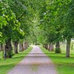 Białoruś odnowi park Ogińskiego