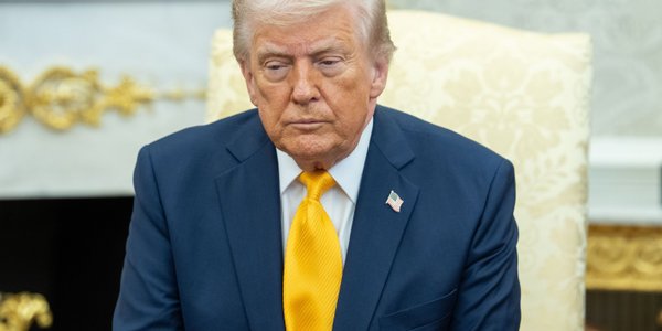 Donald Trump o sojusznikach z NATO: Tchórze