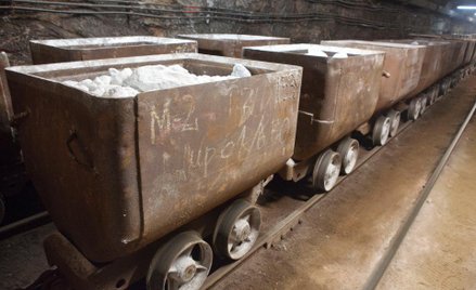 Pomysł wchłonięcia przez Węglokoks czterech kompanijnych kopalń był od początku krytykowany przez zw