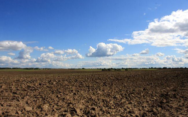 Minister rolnictwa chce zakładać nowe wsie w zachodniej Polsce
