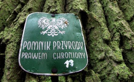 Do ustanowienia pomnika przyrody potrzebna uchwała rady