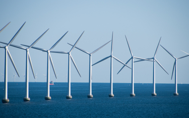 Litwa zbuduje wielką elektrownię wiatrową na Bałtyku