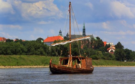 Dubas Sandomierka na tle Sandomierza.