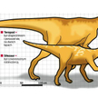 Szczątki tych dwóch dinozaurów to najcenniejsze odkrycia na terenie naszego kraju. Drapieżnik z Liso