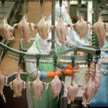 Brazylijskie mięso z salmonellą było w Polsce