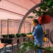 Marsjańskie uprawy ze względu na temperaturę, ciśnienie i skład atmosfery będą prowadzone w pomieszc