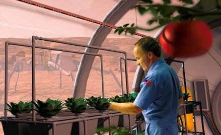 Marsjańskie uprawy ze względu na temperaturę, ciśnienie i skład atmosfery będą prowadzone w pomieszc