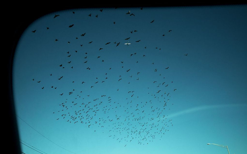 Dwie miłości fotografa